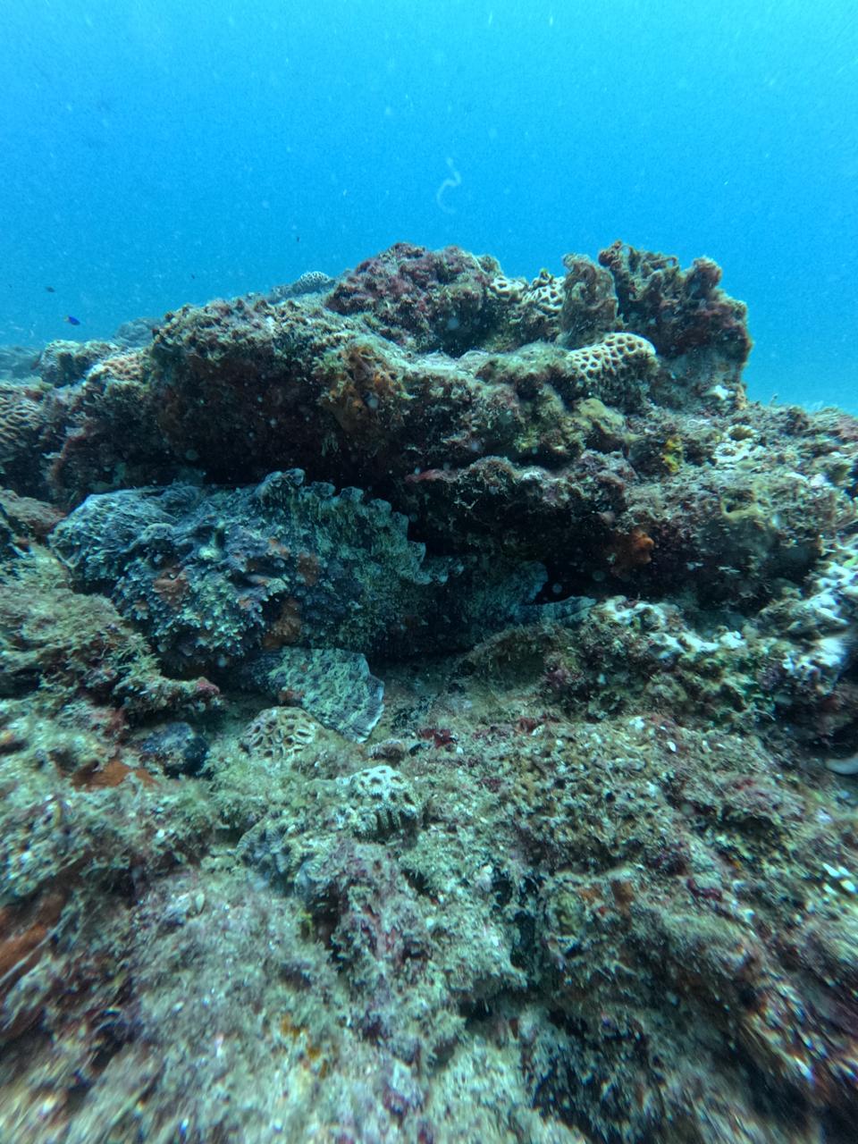 Diving adventure scene 9